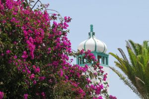 Casas Heddy, Well-being Resort