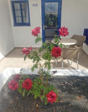 2Grupotel Cinco Plazas